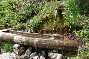 Naturpädagogik und Umweltbildung